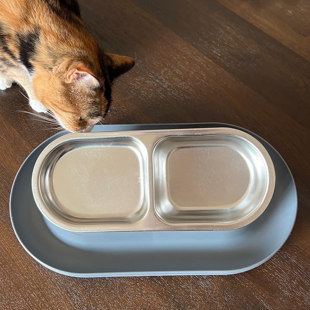 HEPPER Nom Nom spill proof double elevated bowl for food and water. Like New